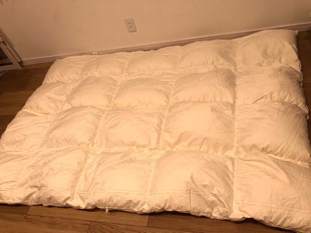 カウフマン シェーンベルグ Hグース 95% シングル　1.0k 綿100