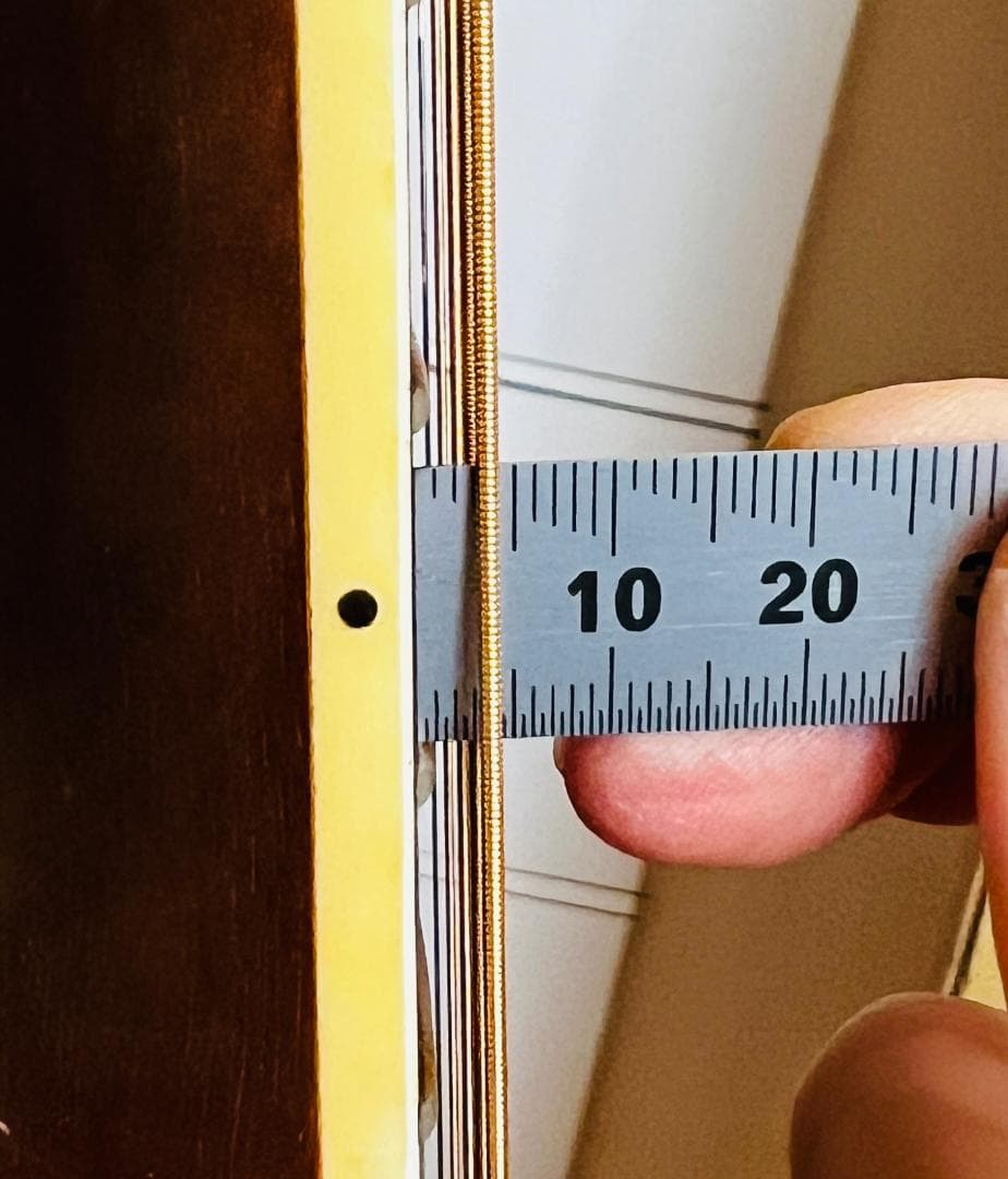 値下中】東海楽器 Cat's eyes CE-450E 状態良 - メルカリ