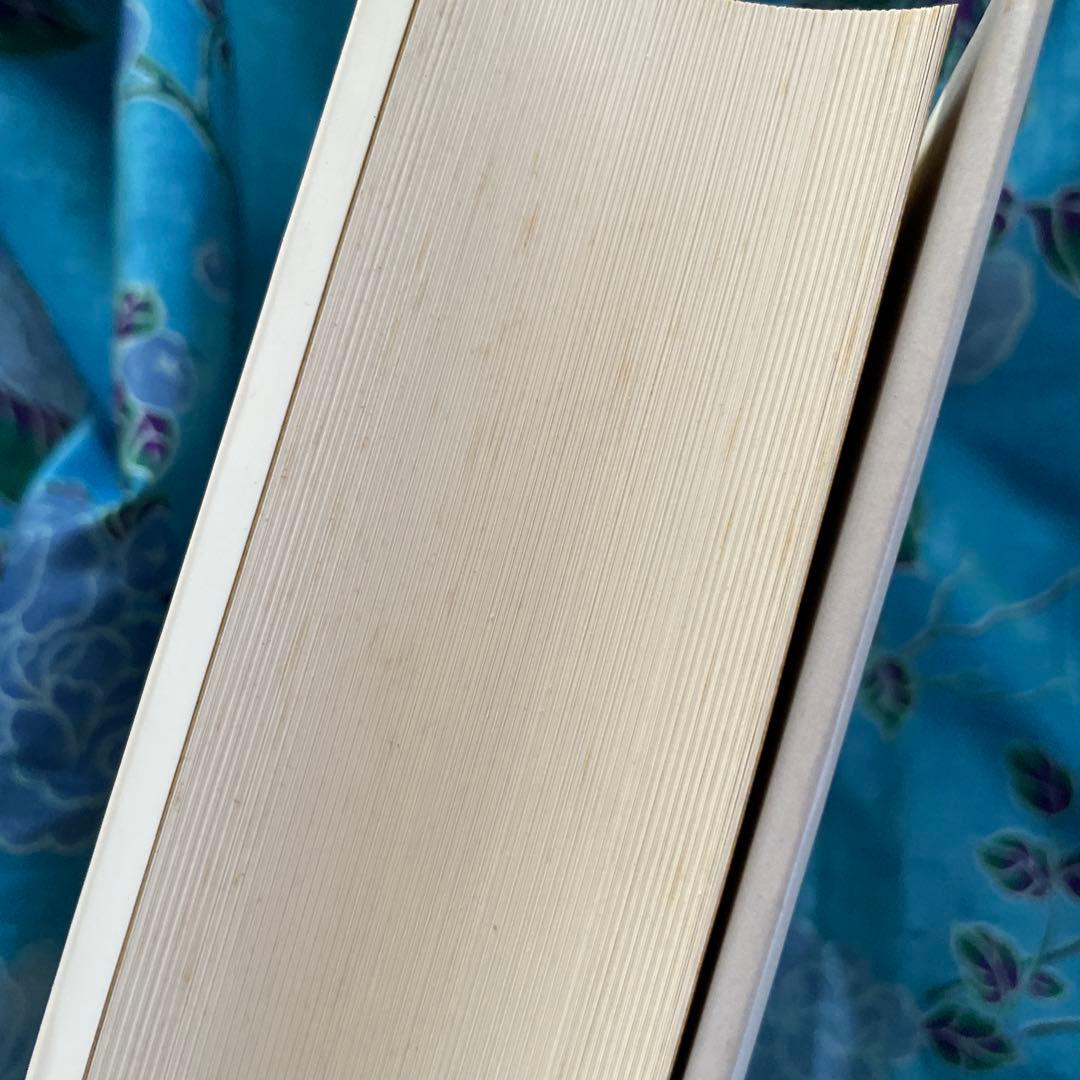 水野千依/イメージの地層-ルネサンスの図像文化における奇跡・分身