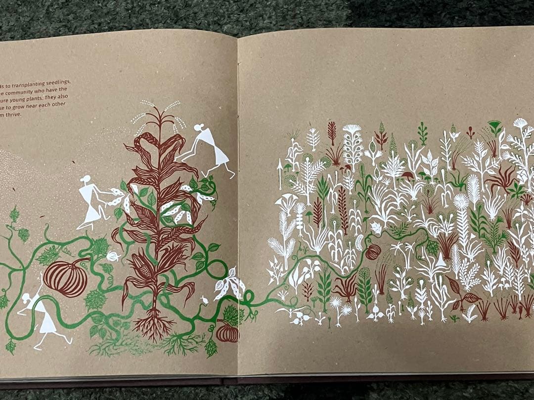 SEED 」Gita Wolf他著Tarabooks インド限定品 日本未販売 - メルカリ