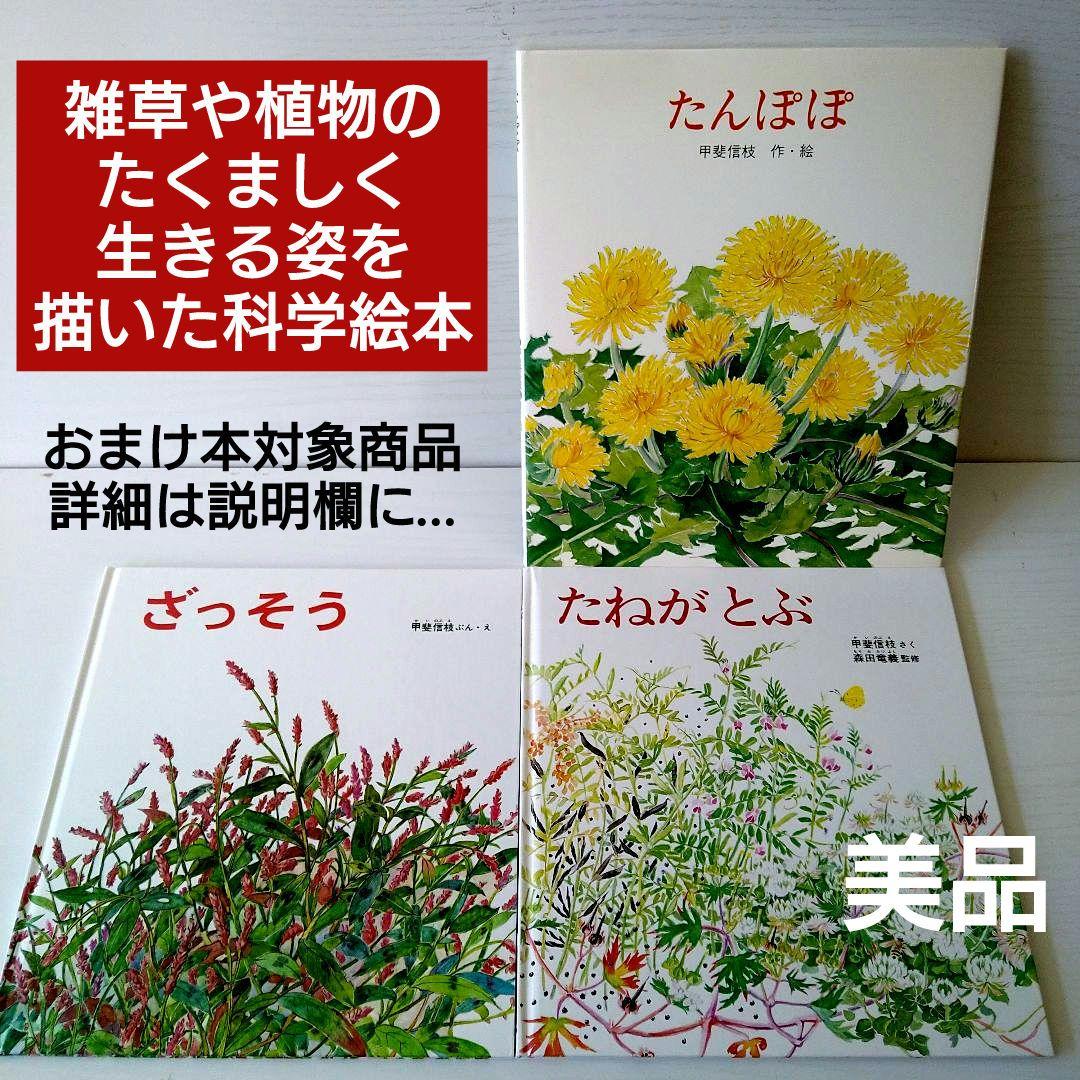 植物絵本☆かがくのとも たねがとぶ ざっそう たんぽぽ☆福音館 甲斐
