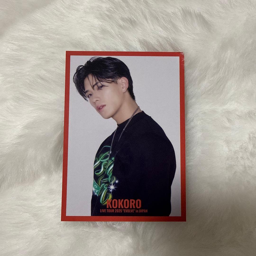 小波津志 フォトカード EVOLVE - メルカリ