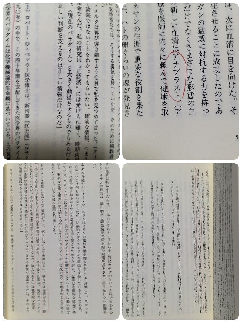 【初版】【匿名配送】完全なる治癒 : ガストン・ネサンのソマチッド新生物学