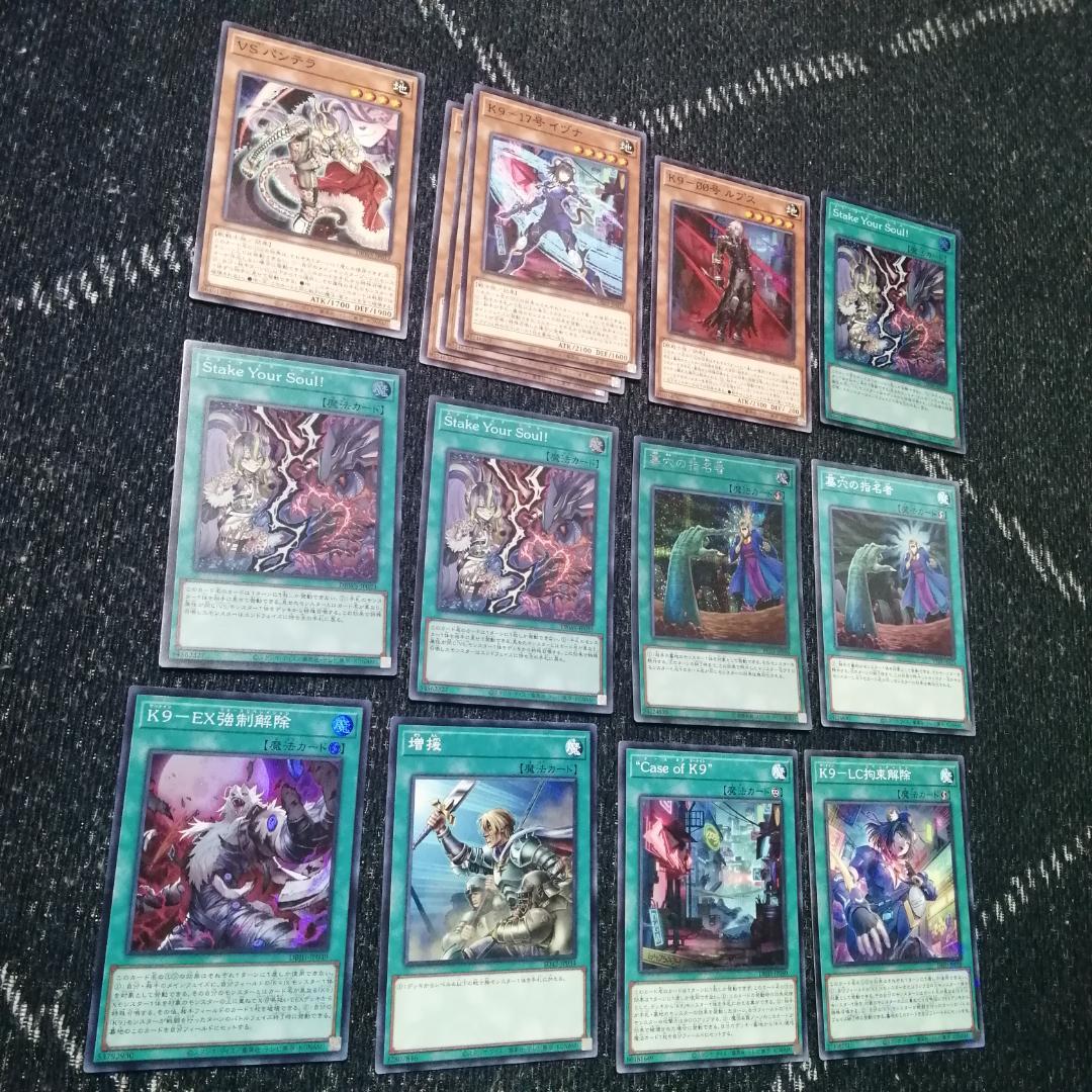 遊戯王 ヴァンキッシュソウル VS K9 デッキ VSK9 ヨクル[03915] - メルカリ