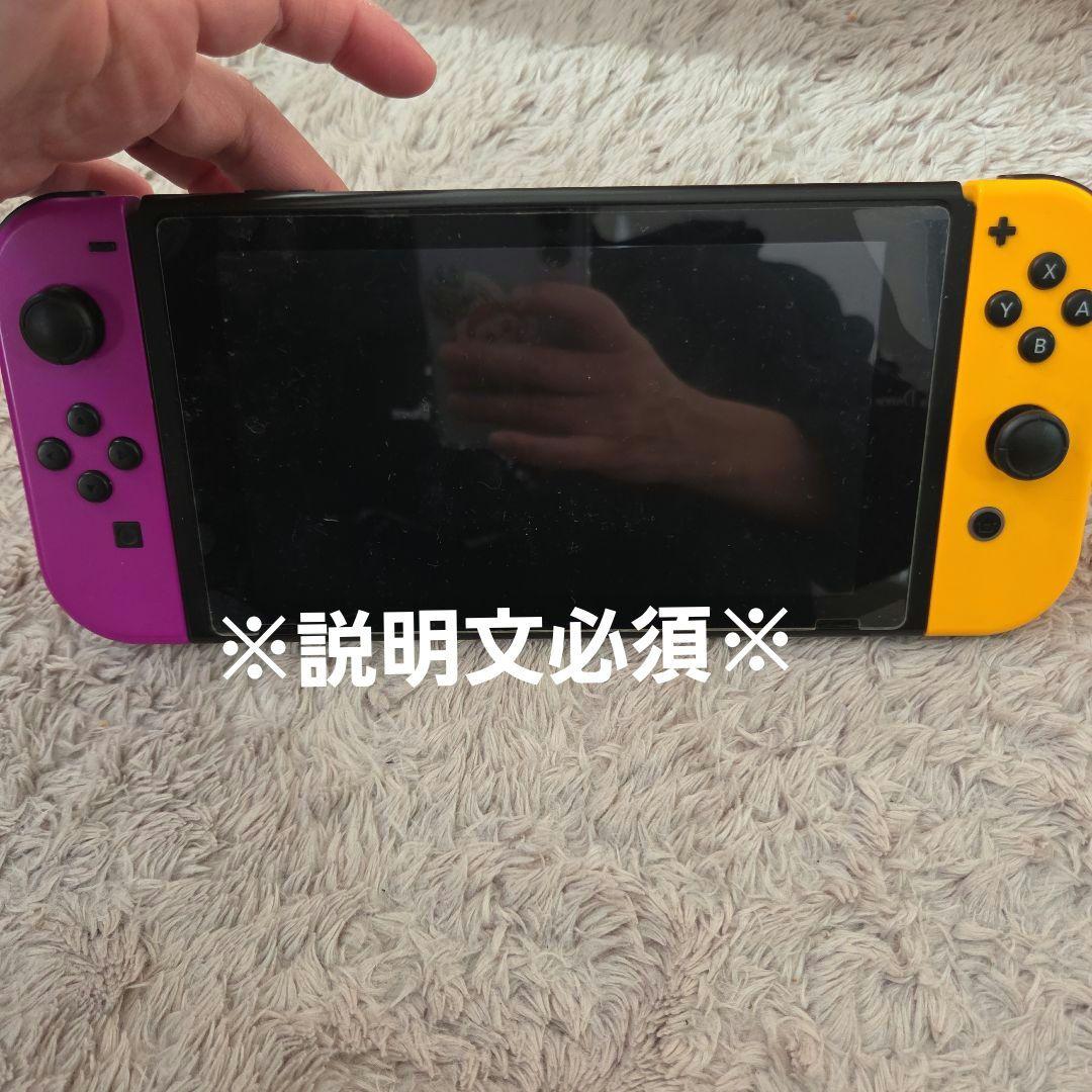 Nintendo Switch 本体　白のジョイコン、マリカーはバラ売りです Nintendo Switch 本体 白のジョイコン、マリカーはバラ売りです