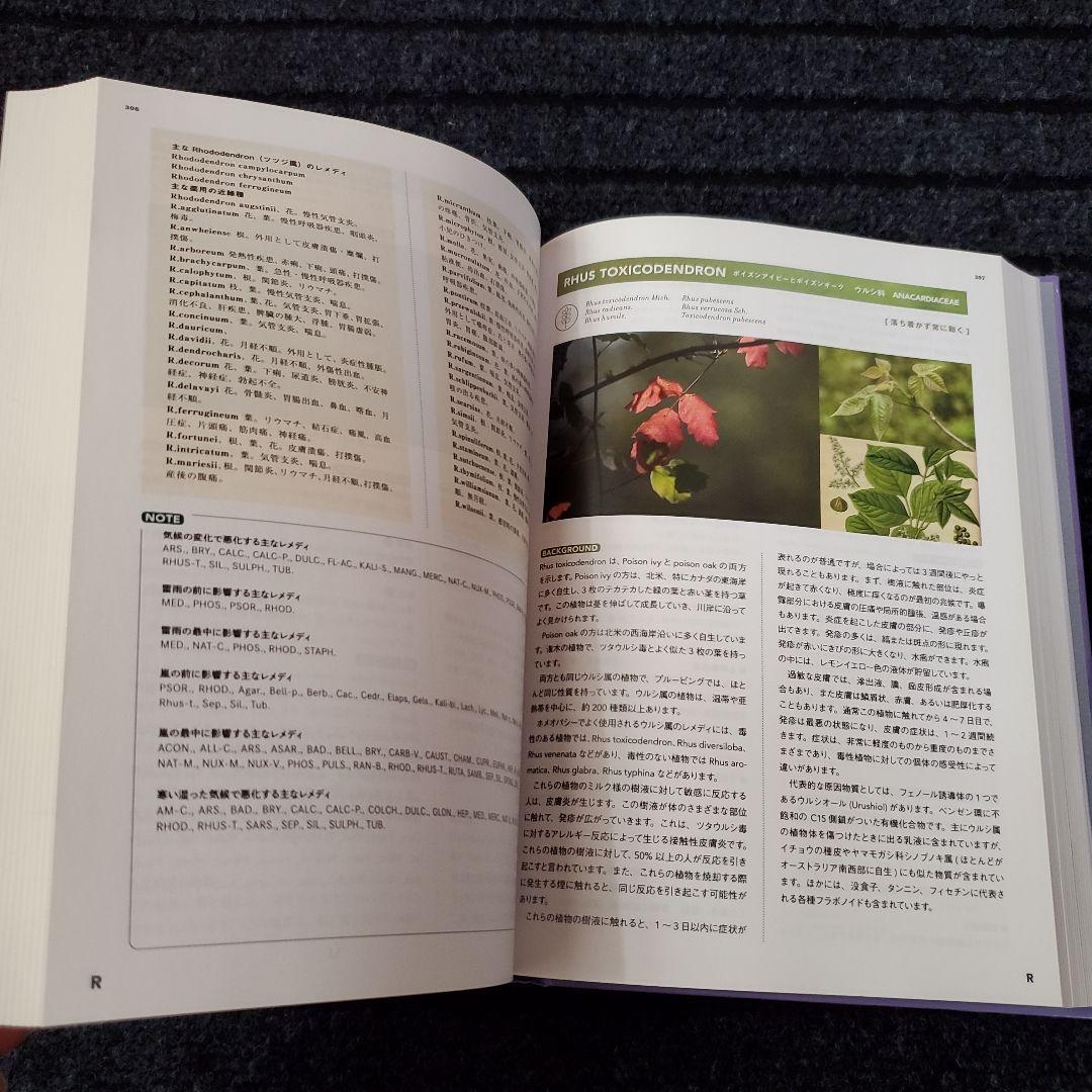 新臨床家のためのホメオパシー マテリアメディカ 下 - メルカリ