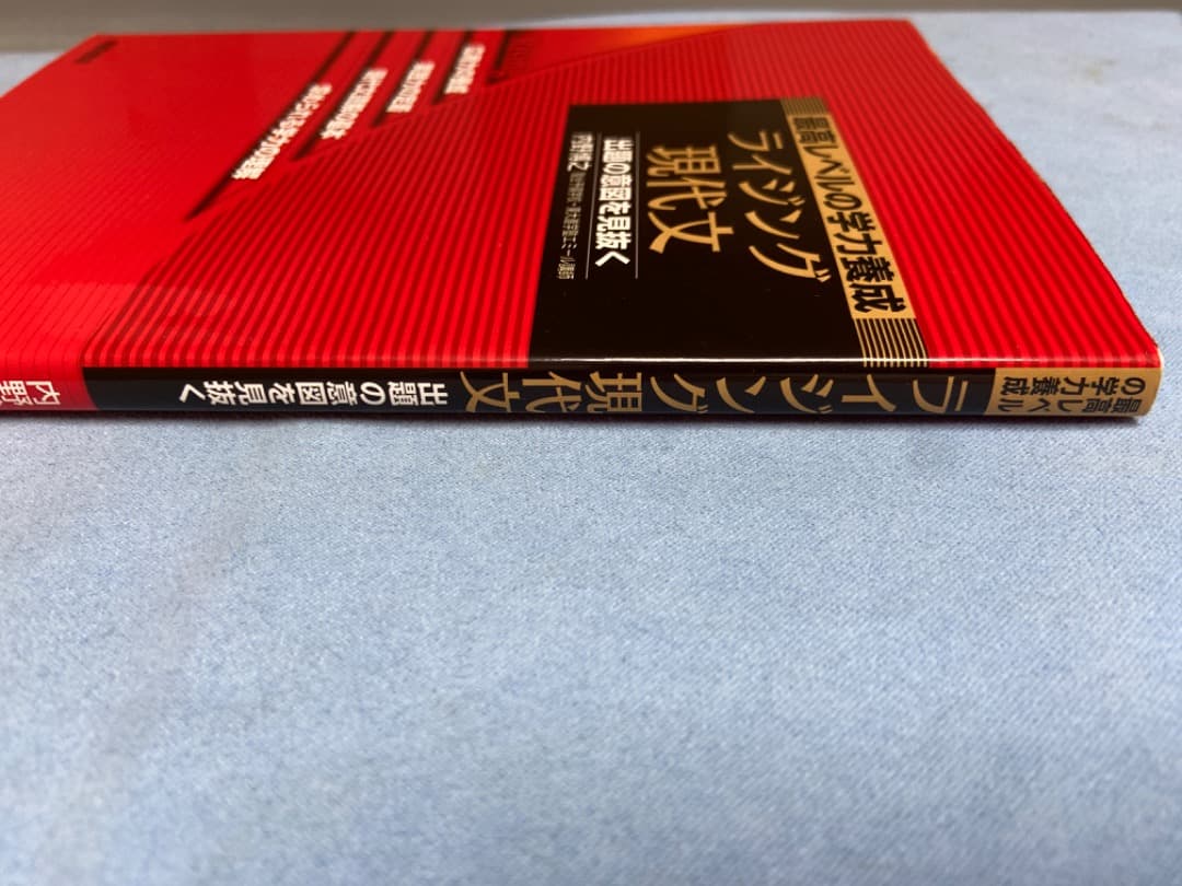 値下げしました】ライジング現代文 - メルカリ