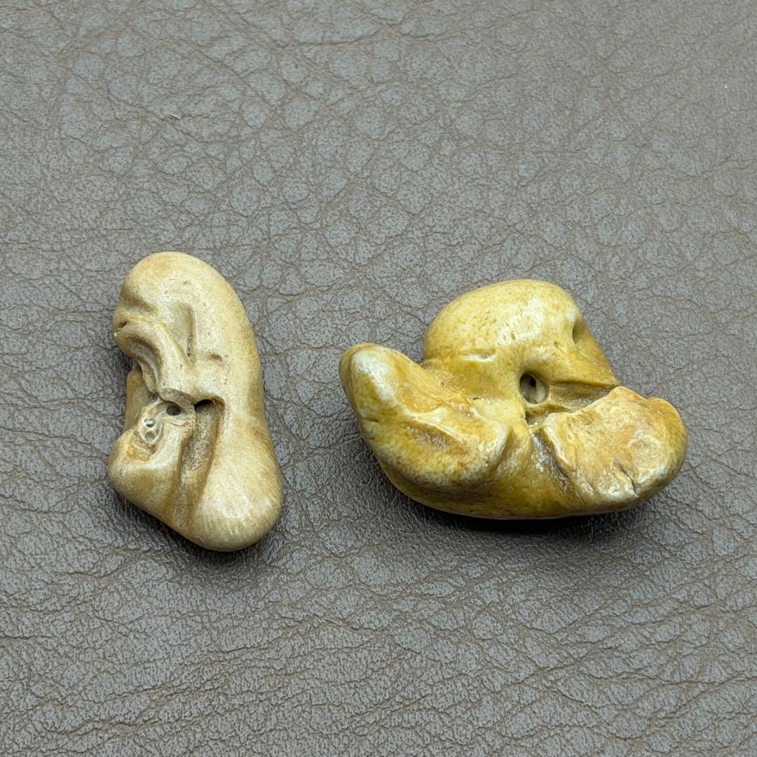 幸運のお守り【イルカの耳骨/布袋石】天然化石 2種類 別売不可 - メルカリ