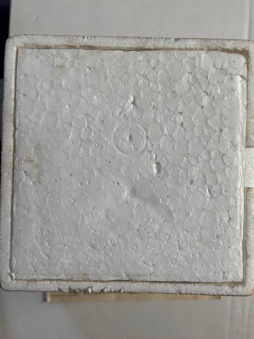 ポピニカ ホットケソーサー 1体 ポピニカ ホットケソーサー 1体