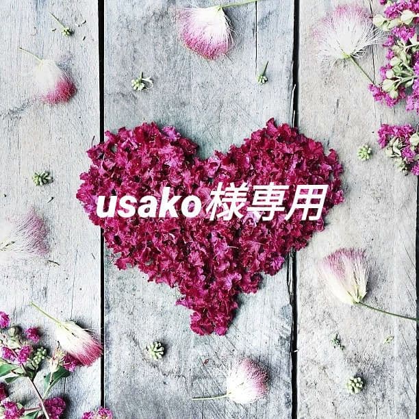 usako様おまとめ専用✴エルメスオレンジカラー本革レザーブーツ太ヒール36✴他 楽天市場】HERMES エルメス 編み上げ ハイカット ロゴ ブーツ ナイロン