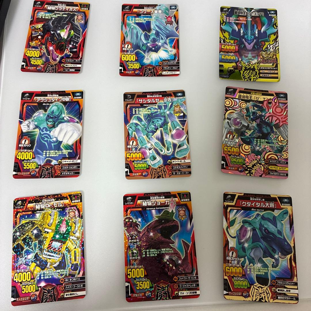 アニマルカイザー ラタトスク様 ラタトスク初購入の方プロフィール必読！様専用】アニマルカイザー