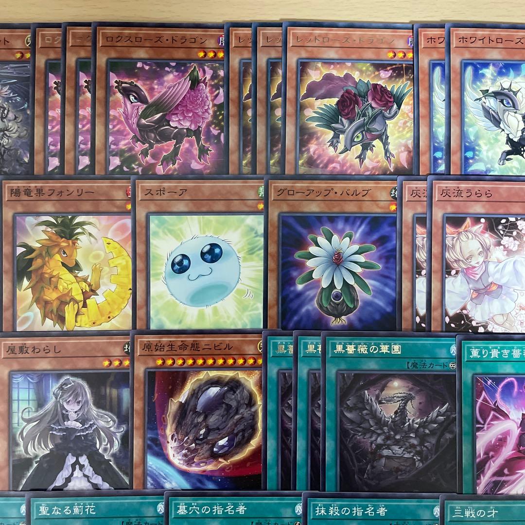 大会優勝構築 アザミナローズドラゴンデッキ レッドローズドラゴン 黒