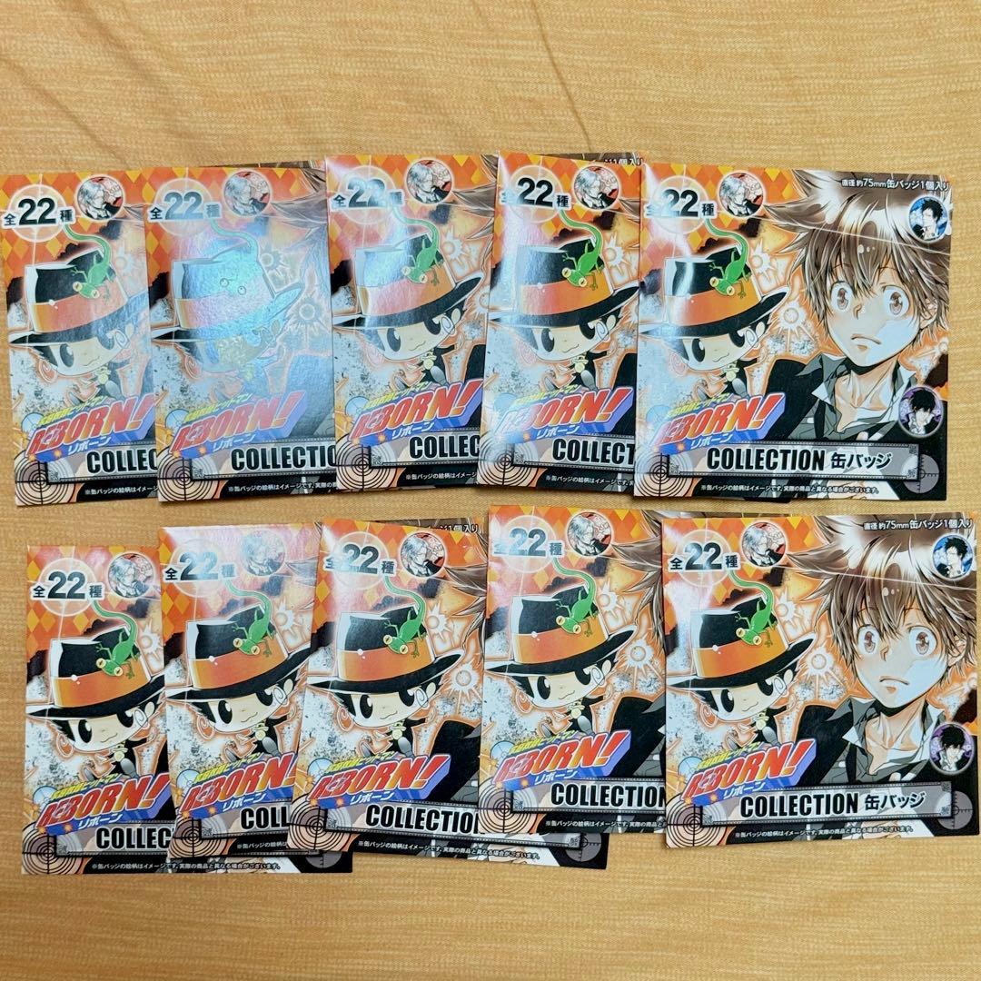 ポケパークカントー ピカチュウ リザードン