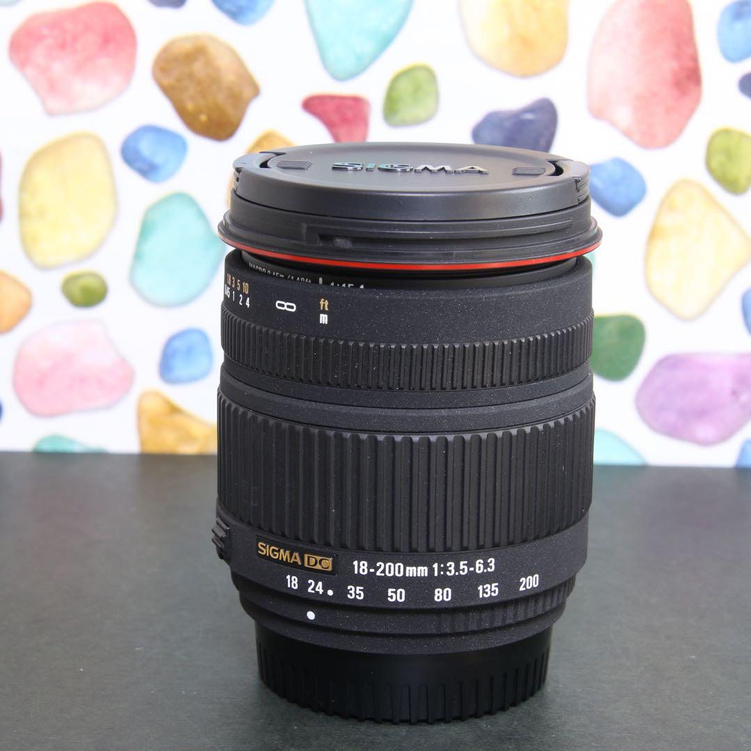 ♥︎◇近くも遠くも♪ ◇SIGMA 18-200mm F3.5-6.3 Nikon