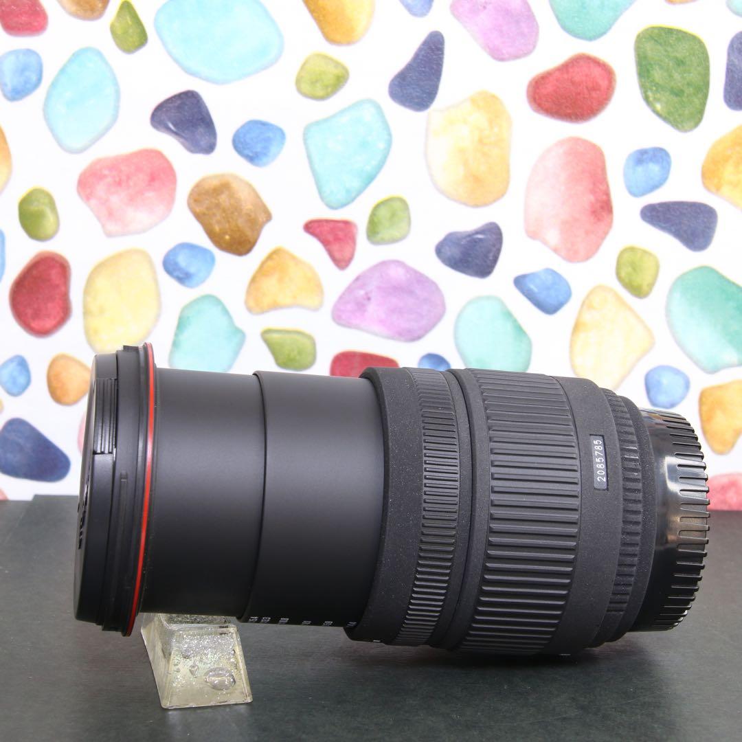 ♥︎◇近くも遠くも♪ ◇SIGMA 18-200mm F3.5-6.3 Nikon