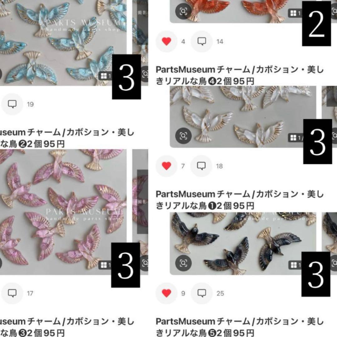 お客様専用ページ】Setsuna様 7/1までお取り置き可能 - メルカリ