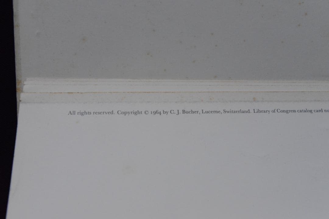 【nothing personal】リチャード・アヴェドン 　★★値下げしました