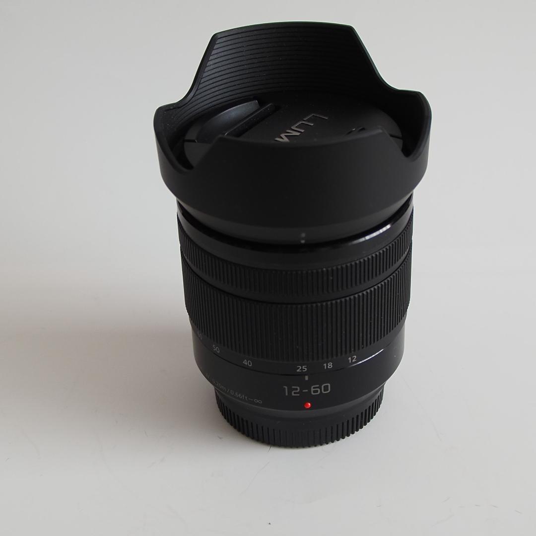 LUMIX G VARIO 12-60mmF3.5-5.6　H-FS12060