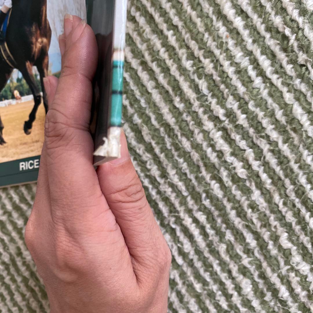 週刊100名馬 名馬 100選 ジェニュイン 全23冊 - メルカリ