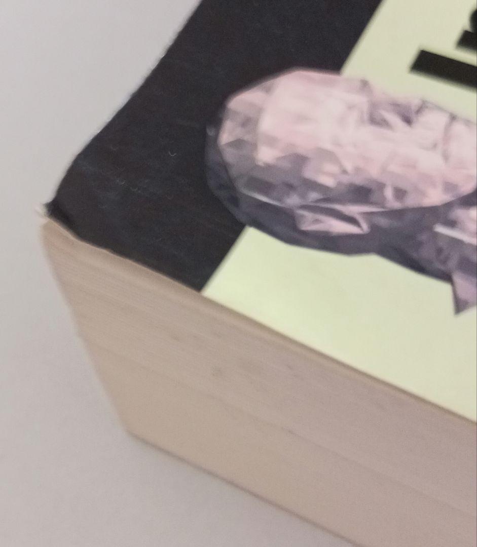 Inside Delphi RayLischner著 アスキー出版局 絶版美品