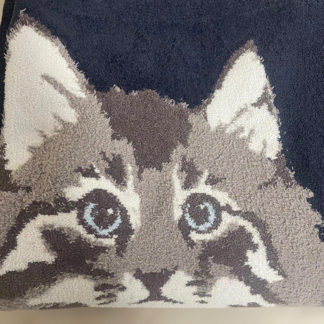 ジェラートピケ ジェラピケ ツインキャット ジャガードブランケット