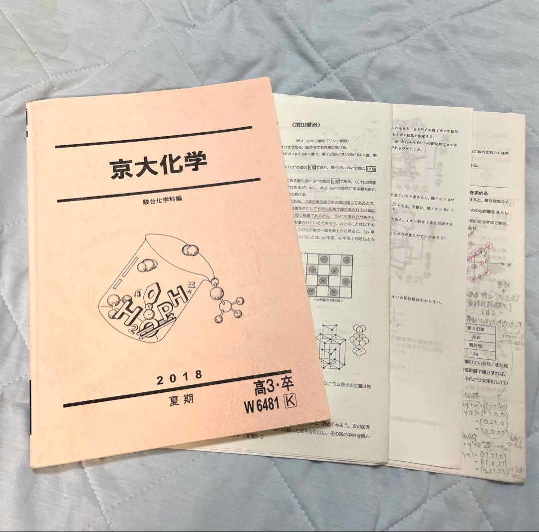 駿台 2018夏期講習 京大化学 増田重治師 - メルカリ