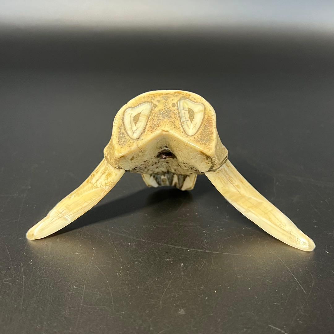 ◎古道具 庵々◎江戸-明治期 獣牙根付□提げ物山伏猟師魔除け呪物