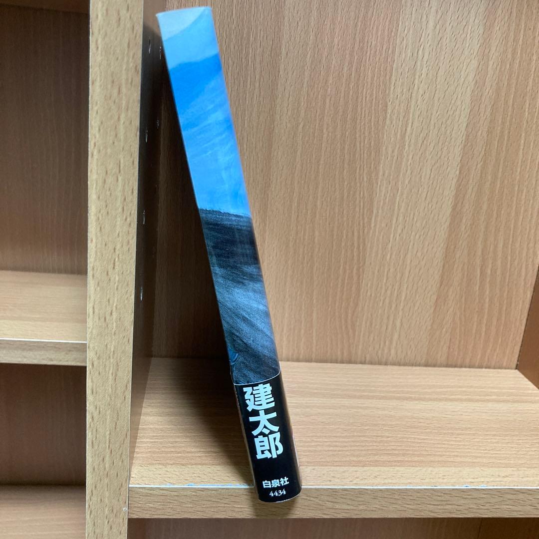 希少！ ベルセルク ヤングアニマル限定特別付録 34巻 ブックカバー