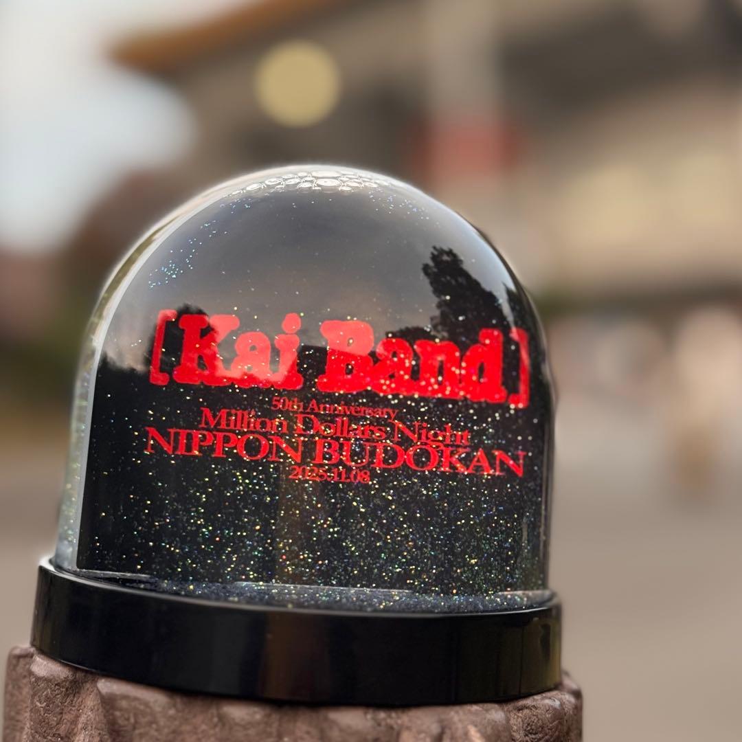 限定・非売品】甲斐バンド 武道館ライブVIP特典 スノードーム - メルカリ