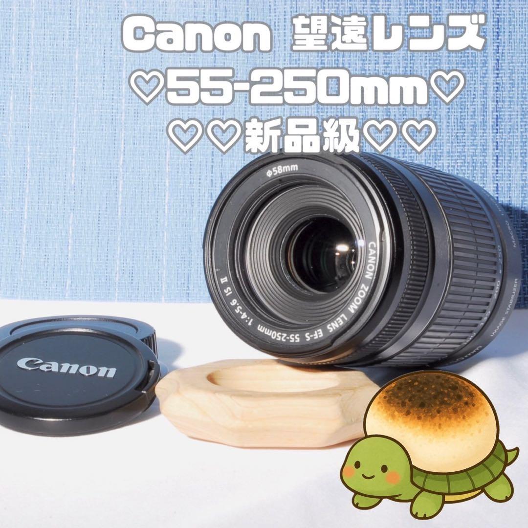 ⭐️超美品‼⭐️ キャノン EF-S 55-250mm 4-5.6 ISⅡ EF-S55-250mm F4-5.6 IS II - キヤノンカメラミュージアム