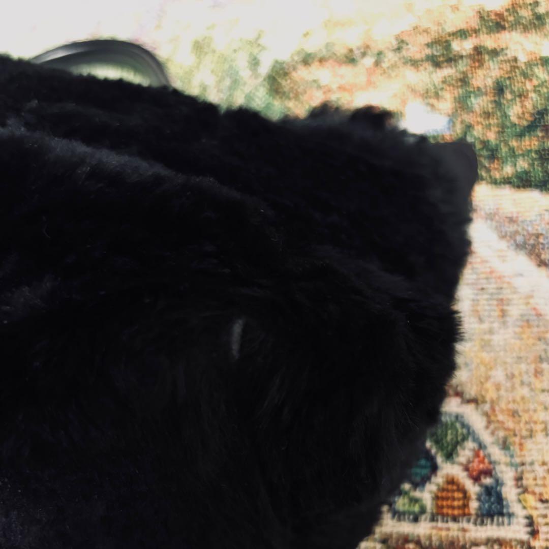 希少”ロンシャン プリアージュ ラビットファーハンドバッグ 黒色