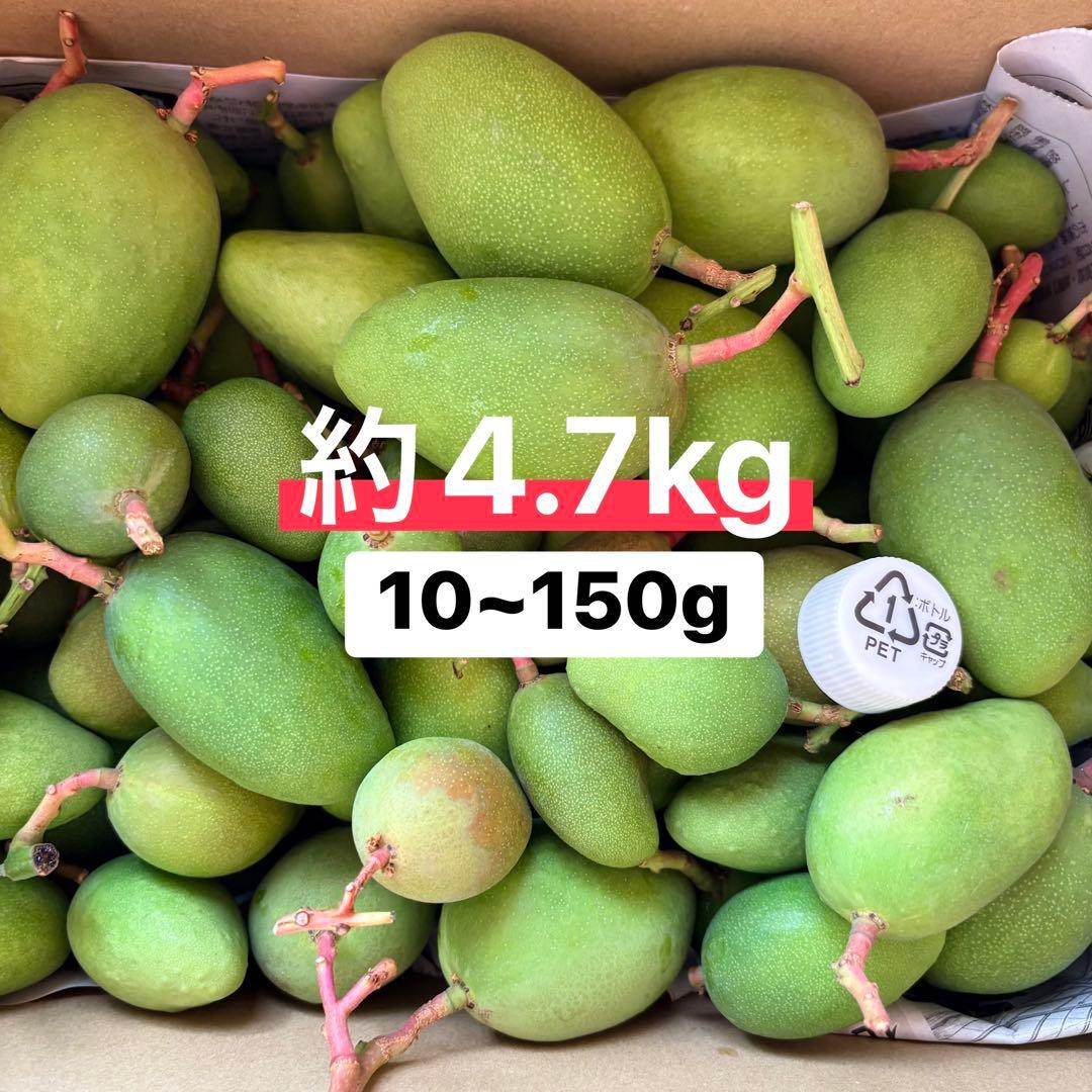 摘果マンゴー・約4.7kg(10~150g)(箱抜き) - メルカリ
