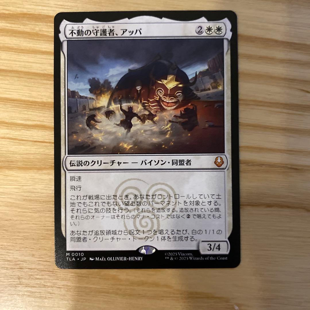 アバター 伝説の少年アン 2BOX分 まとめ売り