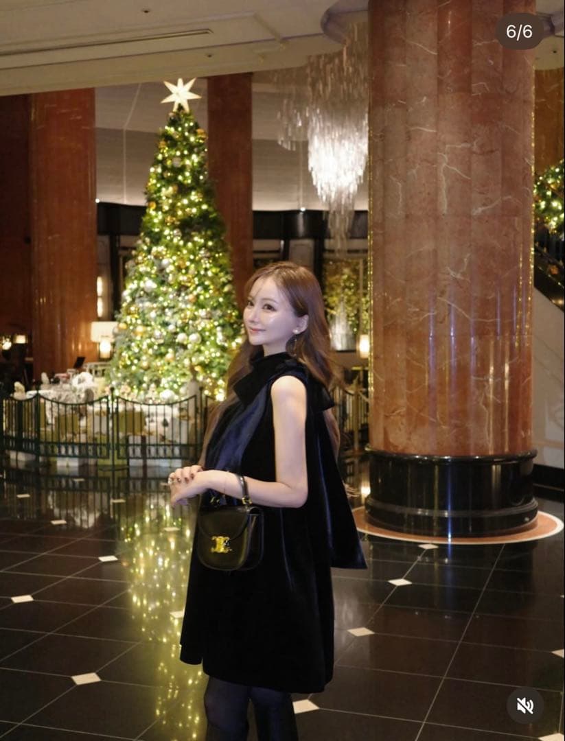 me_xxtmさま専用】THE TOE Heidelberg Dress - メルカリ