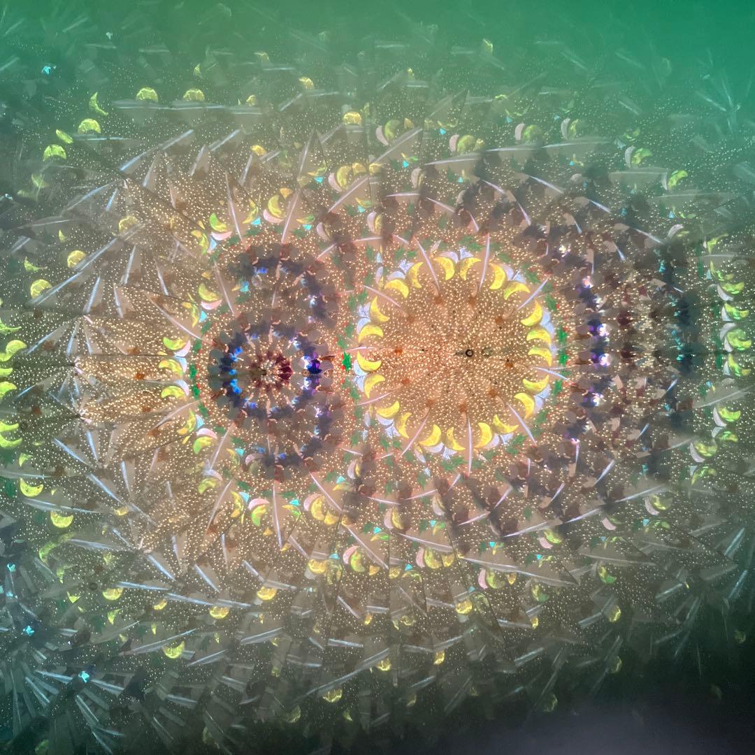 アメリカ作家・オイルワンド万華鏡 Amazon | BIGOGO 万華鏡 オイルワンドタイプ | 万華鏡 | おもちゃ