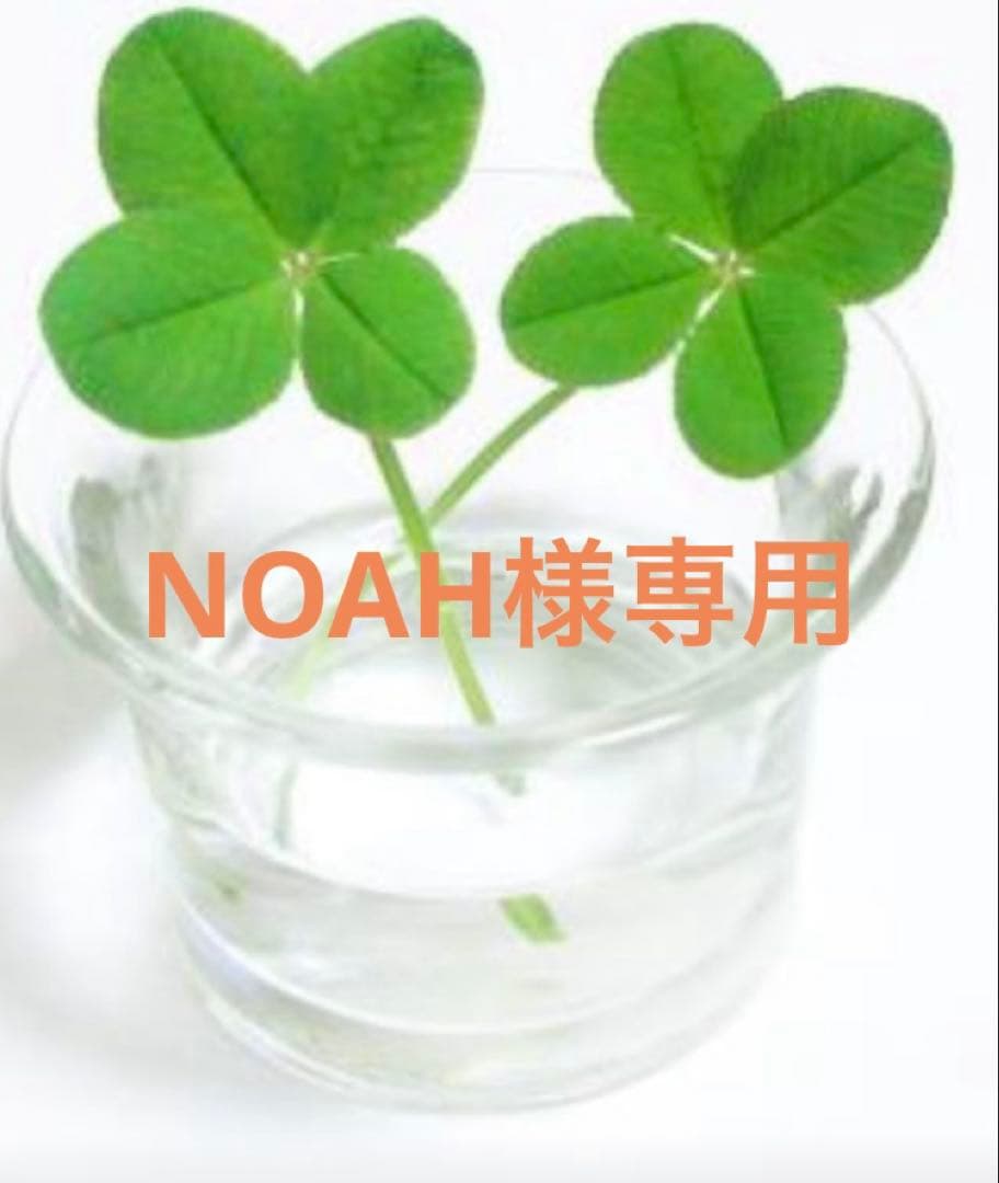 洗顔料 NOAH 楽天市場】【国内正規品】常盤薬品 NOV ノブ A アクネフォーム 70g