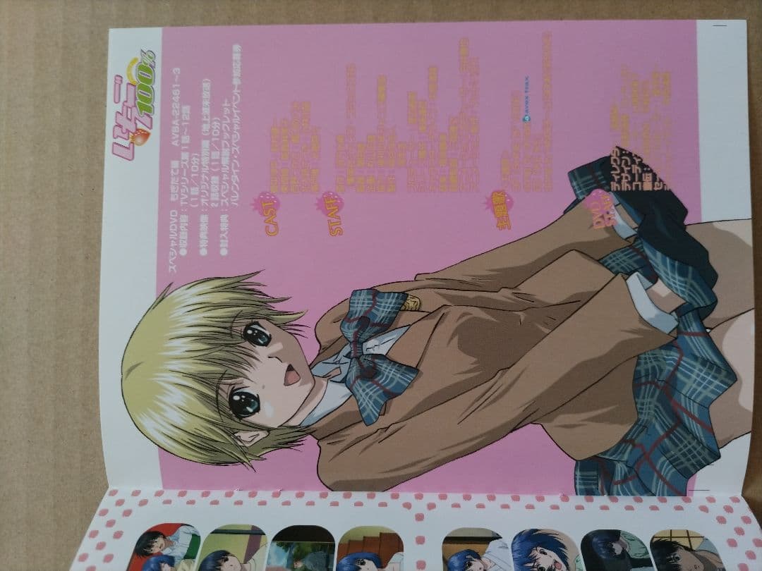 いちご 100% スペシャル DVD / もぎたて編