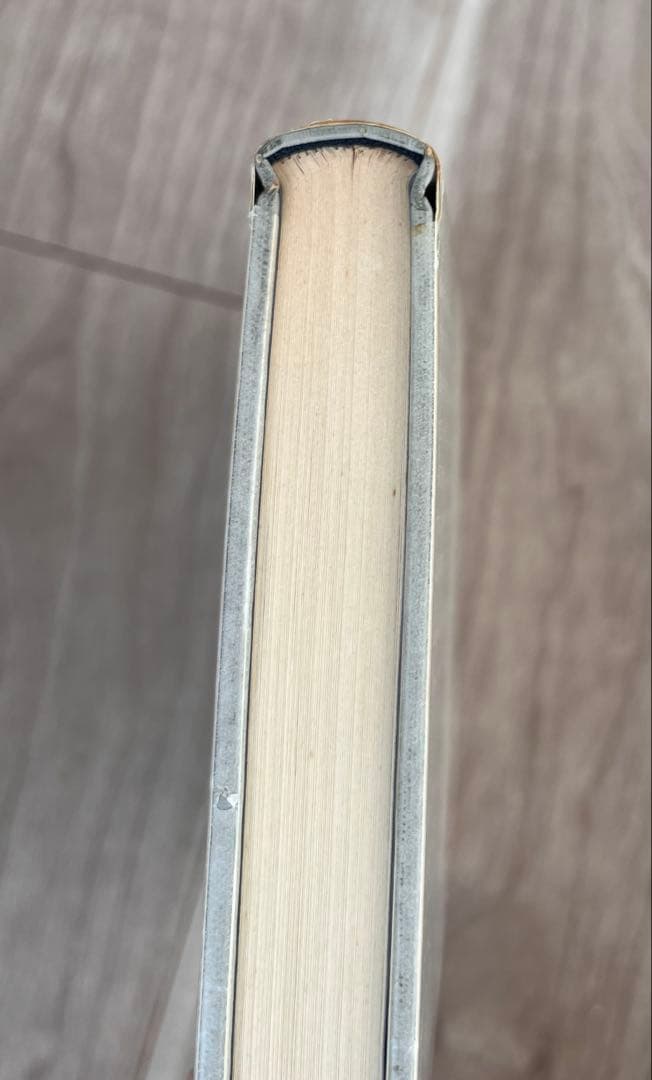 希少　ワニの泪　岡田睦　帯付き　初版　河出書房新社