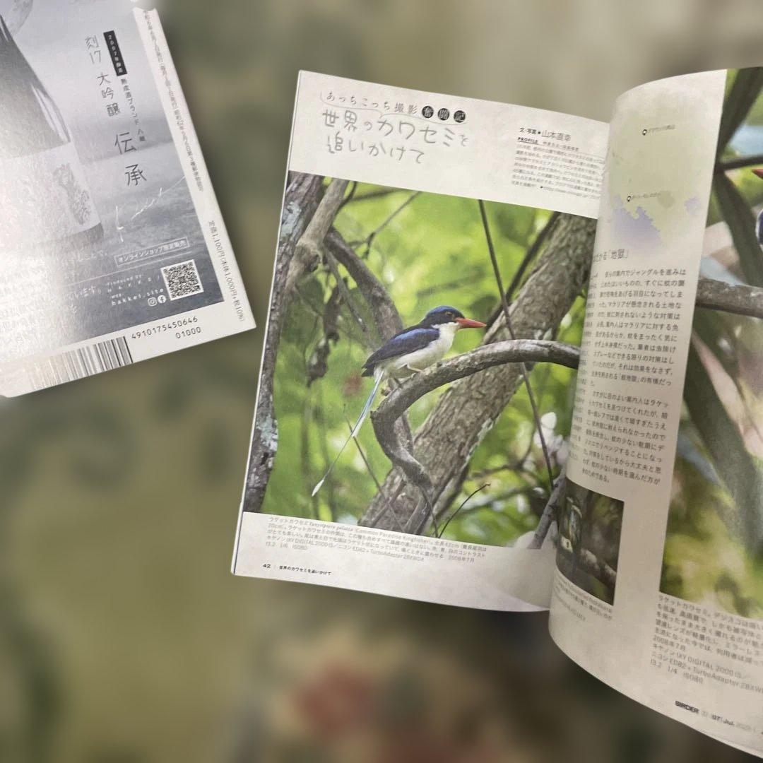 BIRDER 2024年06・2023年07号セット バードウオッチングマガジン