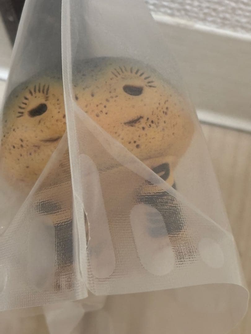 CHUKU JAPONISM 虎小石 フィギュア 未開封 - メルカリ