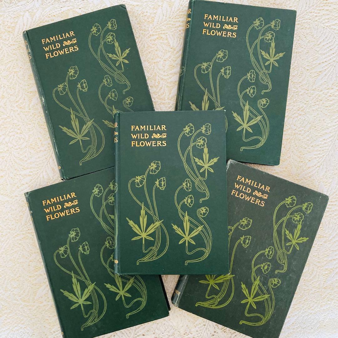 洋書古書 希少 Familiar Wild Flowers アンティーク植物図鑑