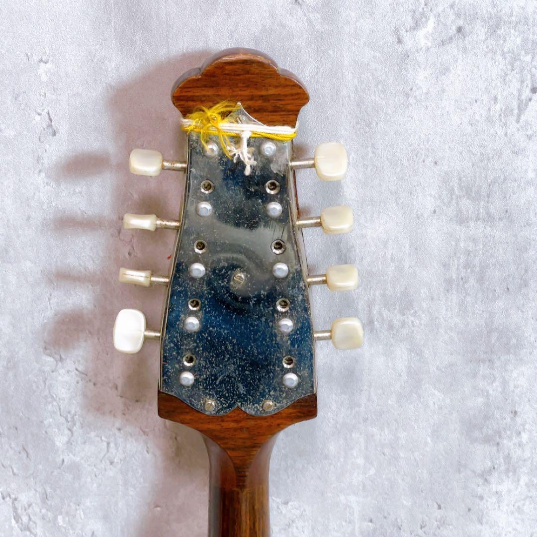 希少！Raffaele Calace カラーチェ マンドリン No.16 - メルカリ