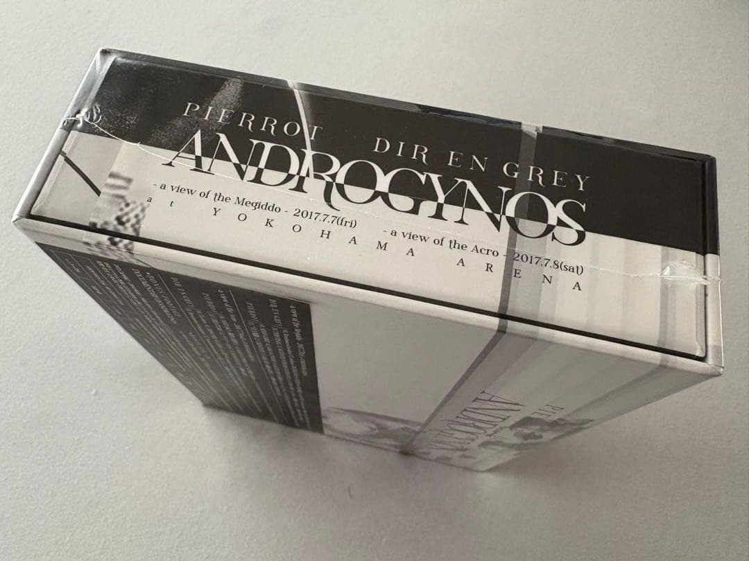ANDROGYNOUS 2017 DVD 豪華版未開封品　フライヤー