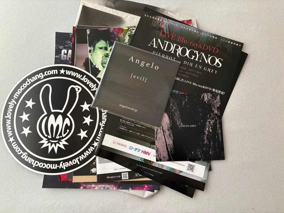 ANDROGYNOUS 2017 DVD 豪華版未開封品　フライヤー