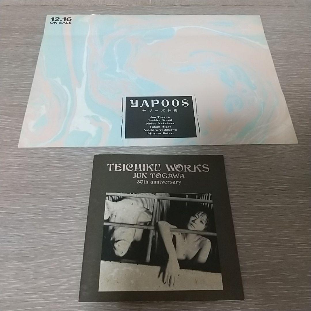 戸川純 芸能生活30周年記念BOX 限定廃盤 生産終了 新品未開封 7/22発売