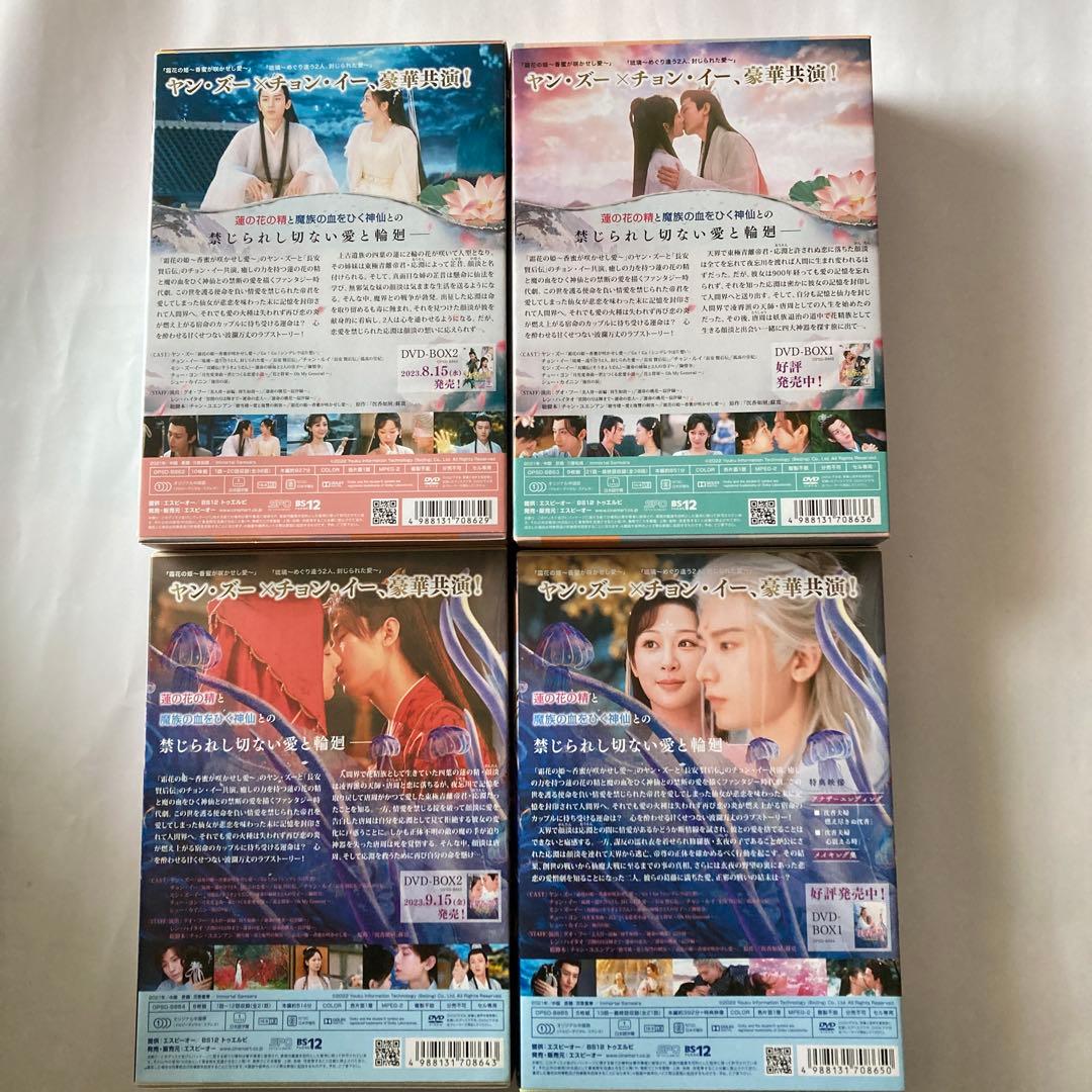 チェリーさん専用です！ 沈香の夢4 DVD BOX