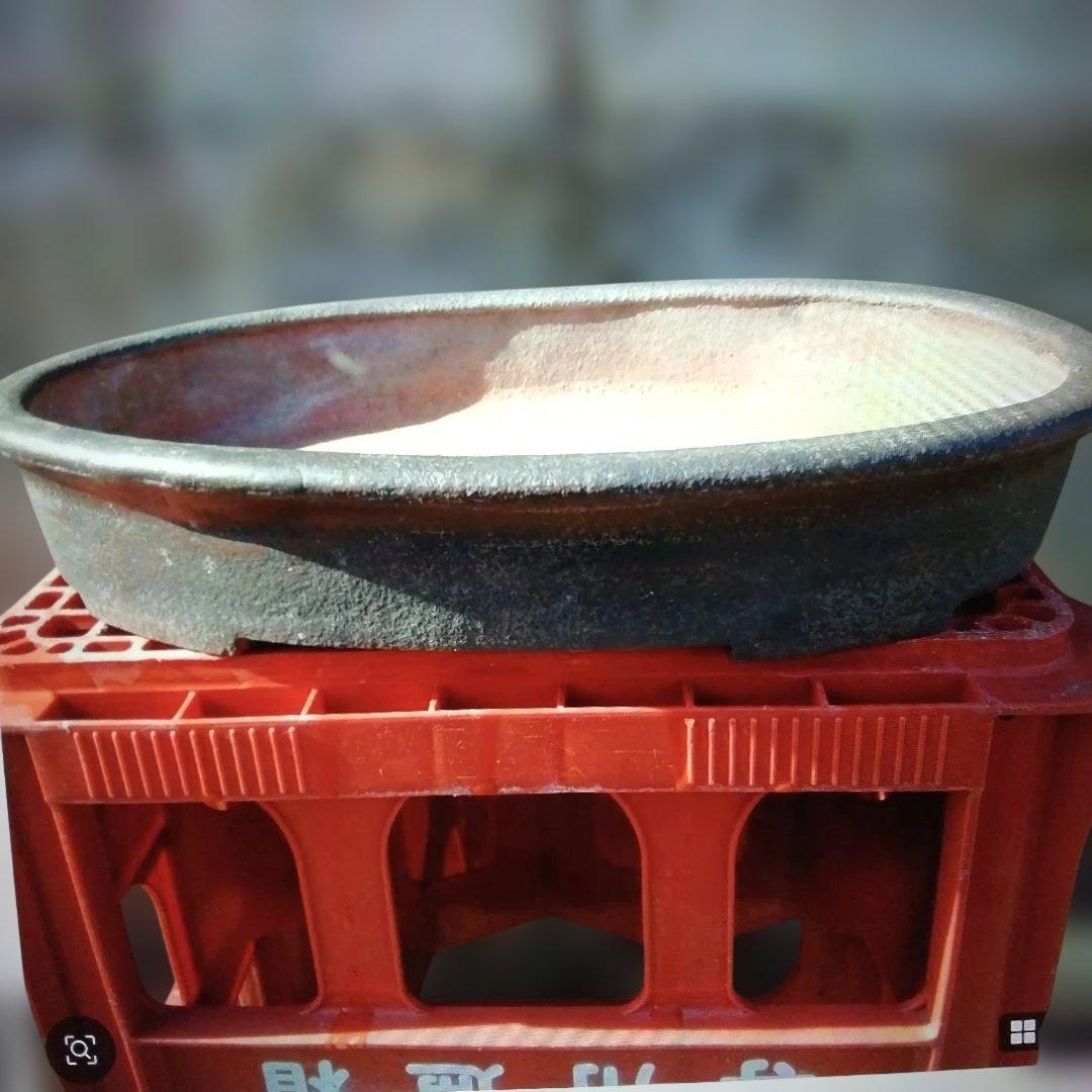 中国鉢、支那鉢、盆栽鉢、植木鉢、山野草鉢、盆栽 - メルカリ