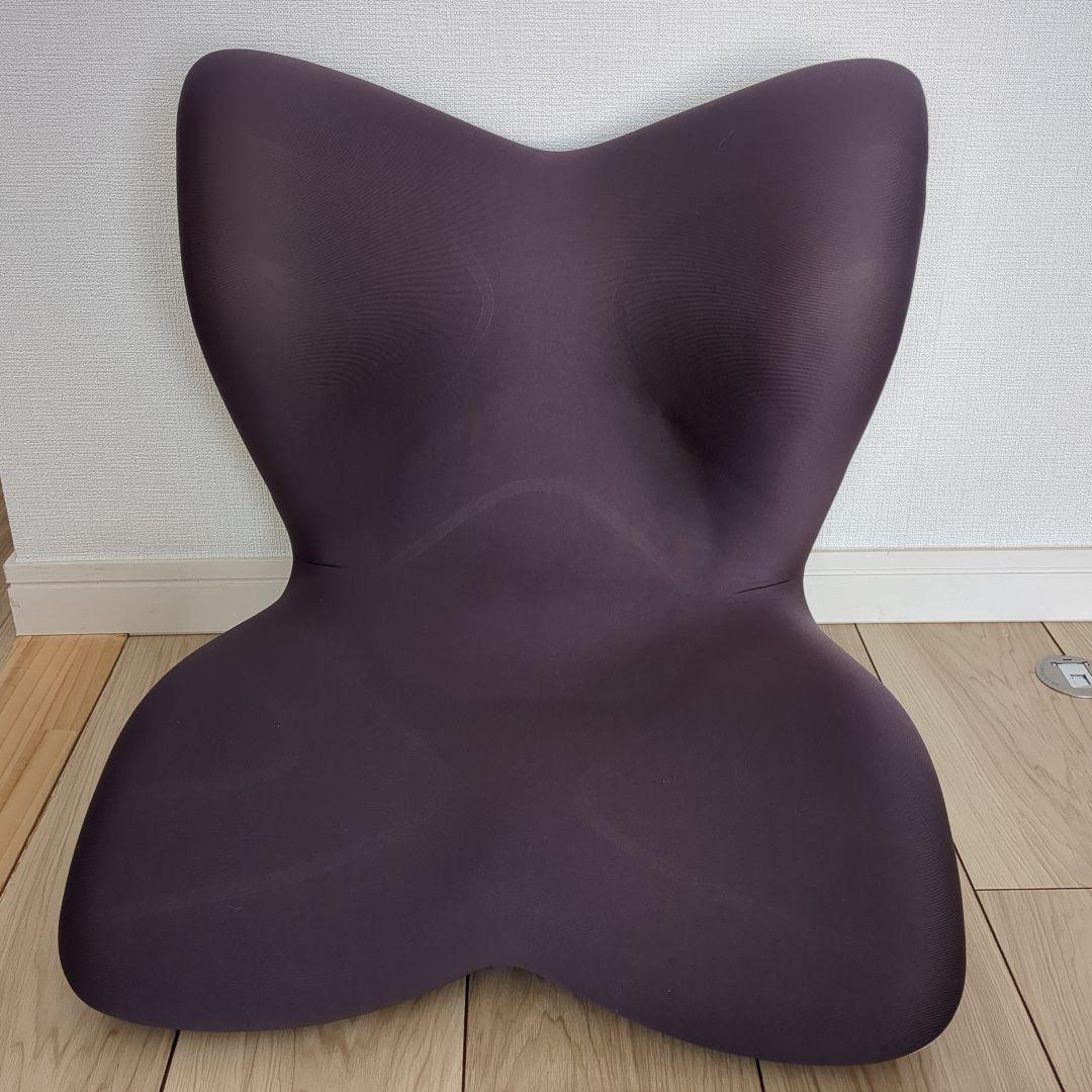 StyIe PREMIUM/スタイルプレミアム/ブラウン/骨盤矯正 - メルカリ