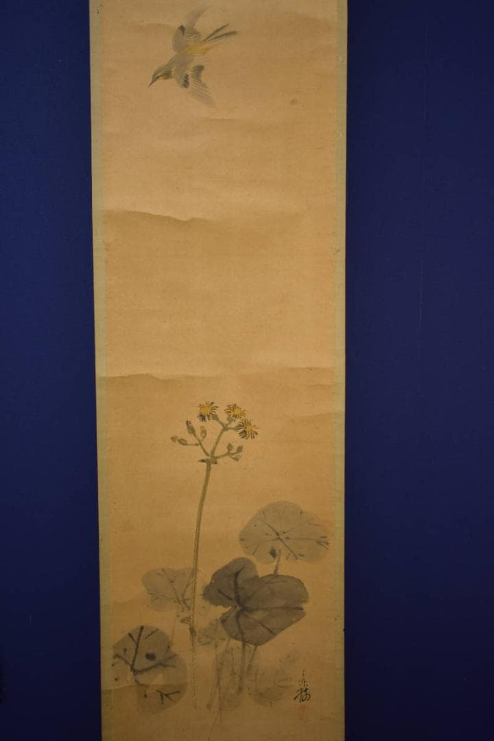 真作/今井景樹/蕗/小禽図/フキ/布袋屋掛軸HI-903 - メルカリ