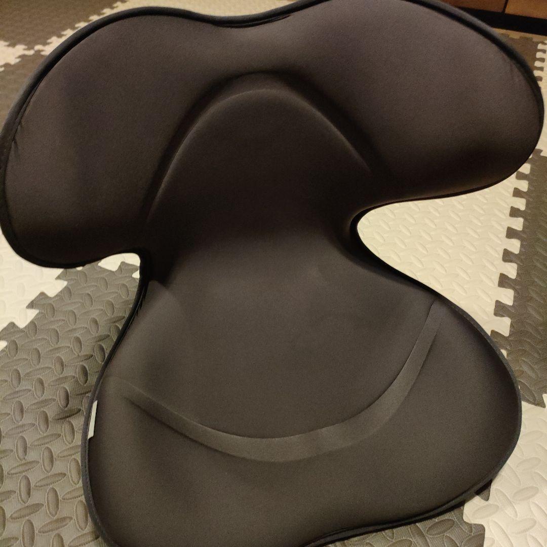 み*ち様 MTG StyIe SMART スタイル スマート 骨盤 矯正 ブラウ 楽天市場】姿勢ケアシート スタイル スマート MTG Style SMART 骨盤